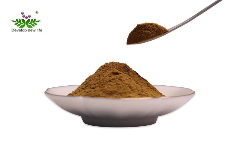 Fucus Vesiculosus Extract